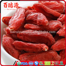 Melhor Qualidade goji berries goji berries saúde dos homens bagas de goji berries milagre sem metal pesado